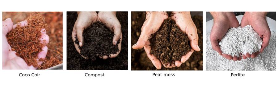 Common Ingredients in Indoor Plant Soil