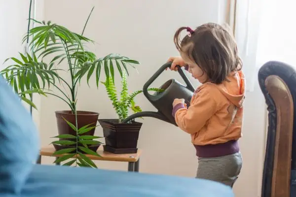 a baby girl giving schedule watering in her loving indoor plants